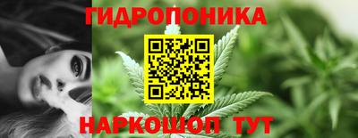 гашик Ликино-Дулёво
