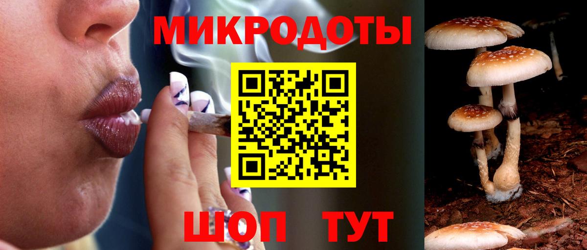 Псилоцибиновые грибы MAGIC MUSHROOMS Дивногорск